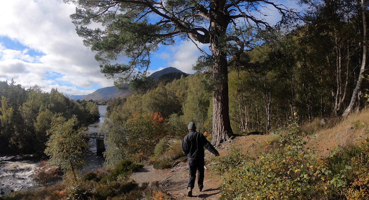 man walking off into the wilderness