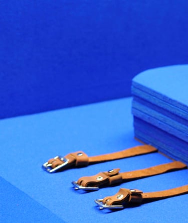 image of a blue bed and tan straps