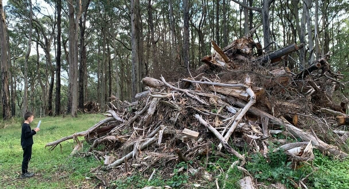 To the fallen trees - 1216x658