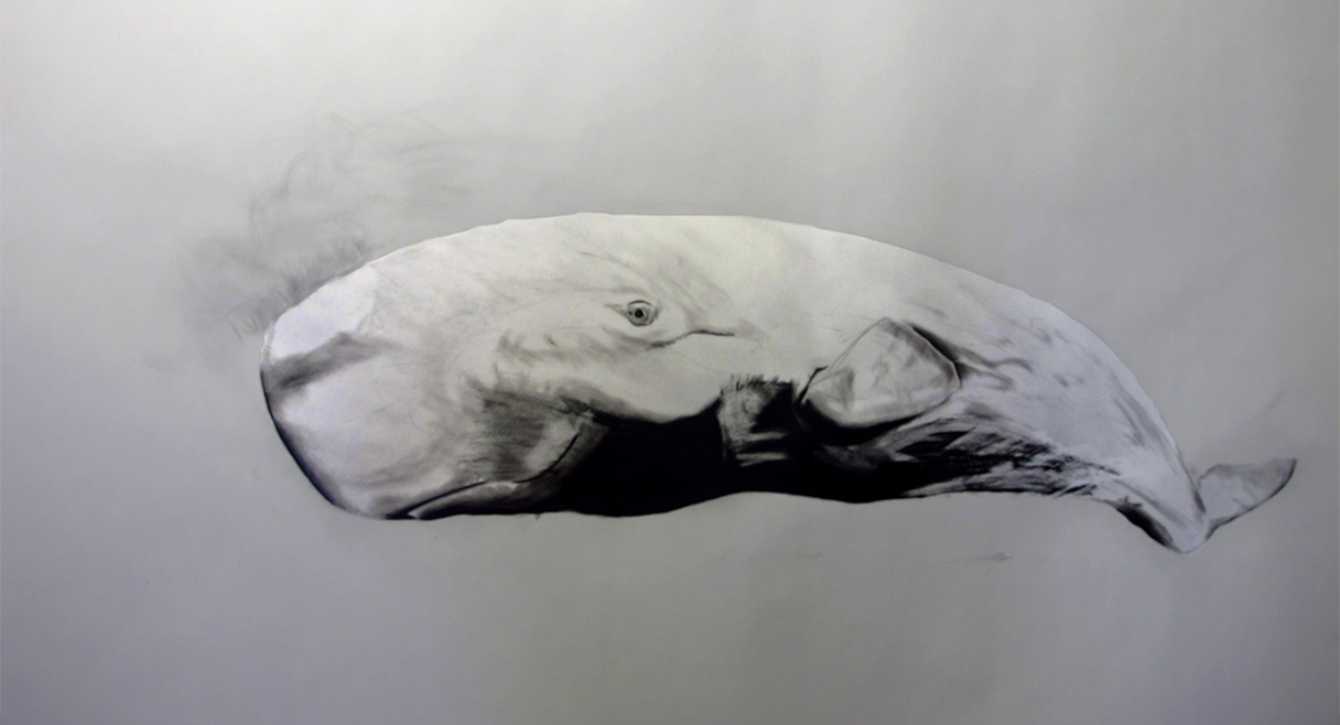 NEW_Tactile Tabulations 2019 Alister Karl_Whale Explosion_Graphite on paper